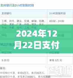 支付宝转账实时到账探秘,2024年12月22日能否实现实时到账?小巷特色小店背后的秘密