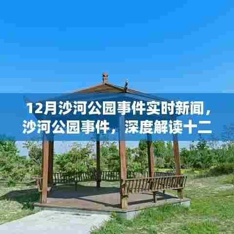 沙河公园事件揭秘,深度解读十二月实时新闻背后的故事