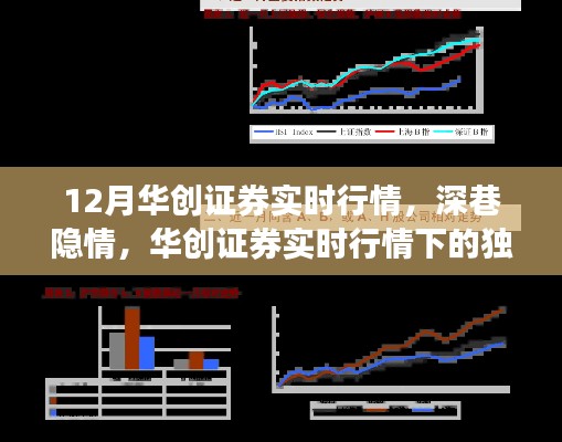 华创证券实时行情下的独特小店探秘，深巷隐情揭秘