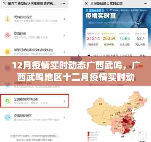 广西武鸣地区十二月疫情实时动态观察与反思