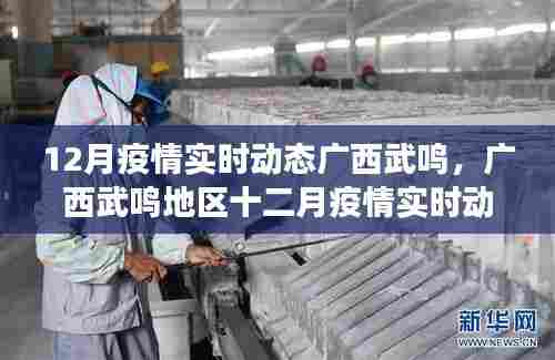 广西武鸣地区十二月疫情实时动态观察与反思