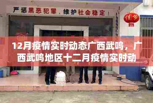 广西武鸣地区十二月疫情实时动态观察与反思
