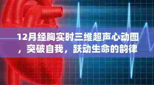 胸实时三维超声心动图之旅，突破自我，跃动生命韵律的励志篇章
