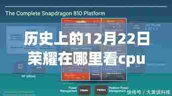 历史上的12月22日荣耀手机CPU实时数据观测与探讨,深度探讨荣耀手机CPU实时数据查看方法及其意义