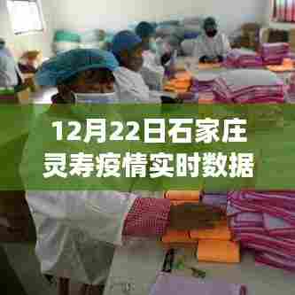 石家庄灵寿疫情实时数据报告,深度观察与影响分析(12月22日)