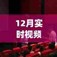 揭秘十二月实时视频换脸诈骗案,手法、风险与防范策略全解析