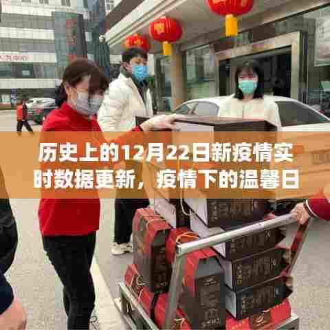 疫情下的特殊数据更新,温馨日常与实时数据的交汇点