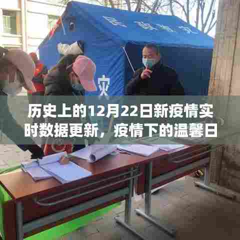 疫情下的特殊数据更新,温馨日常与实时数据的交汇点