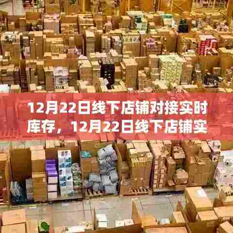 线下店铺实时库存对接,提升效率的关键步骤与案例分析,12月22日对接实录