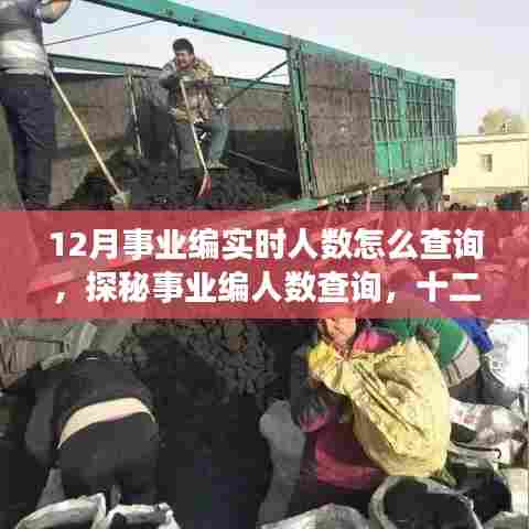 探秘事业编人数查询,十二月实时人数查询指南,我们的故事在温暖中继续。