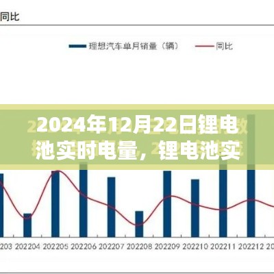 如何监测与管理锂电池实时电量,初学者与进阶用户操作指南(2024年12月22日更新)