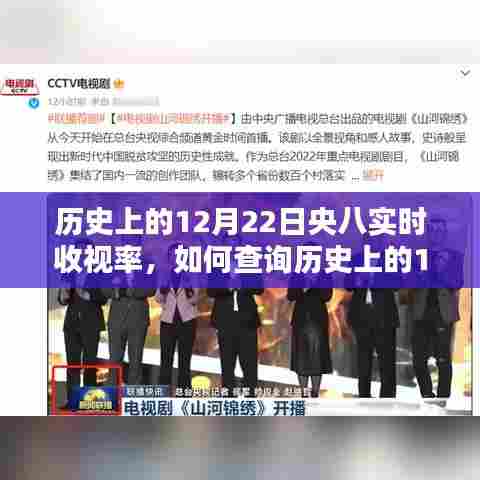如何查询历史上12月22日央八实时收视率,详细步骤指南与收视率数据概览