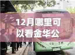 12月金华公交车实时追踪,掌握出行动态,轻松了解车辆实时情况