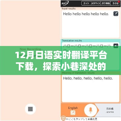 探索小巷深处的宝藏,12月日语实时翻译平台下载奇遇记