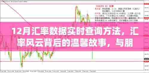 汇率风云背后的故事,与朋友的实时查询之旅,揭秘12月汇率数据