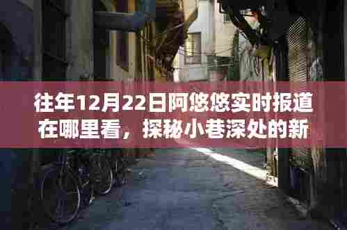 探秘小巷深处的新闻宝藏，阿悠悠实时报道的独家记忆与往年报道回顾