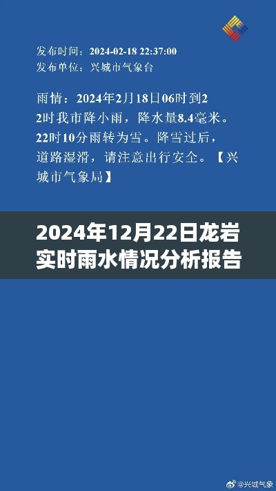 龙岩雨夜交响曲,雨水实时分析与温情体验报告(2024年12月22日)