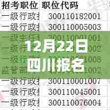 四川报名人数实时统计系统评测报告，最新报名人数动态分析（12月22日）
