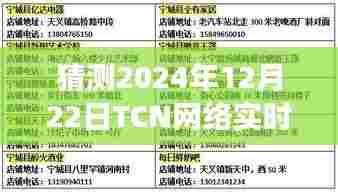 2024年TCN网络实时性展望,探寻未来之门