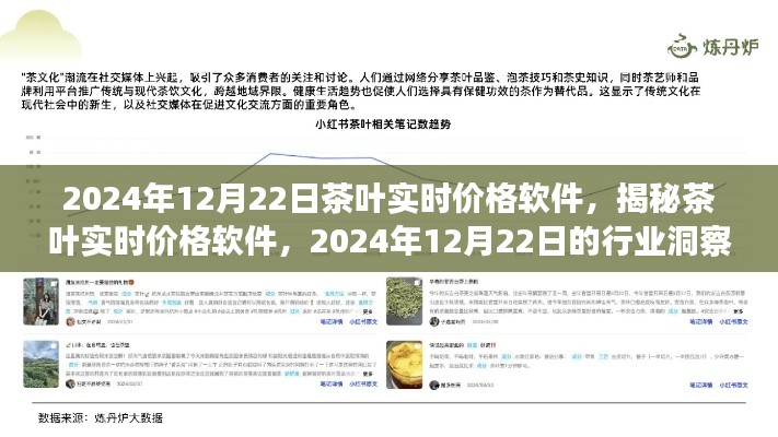 揭秘茶叶实时价格软件,行业洞察与最新动态