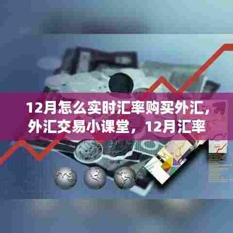12月汇率下的外汇实时购买与交易小课堂，开启奇妙外汇之旅