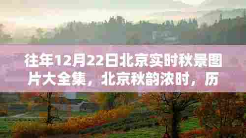 历年12月22日北京秋景纪实影像回顾,秋韵浓时全景呈现