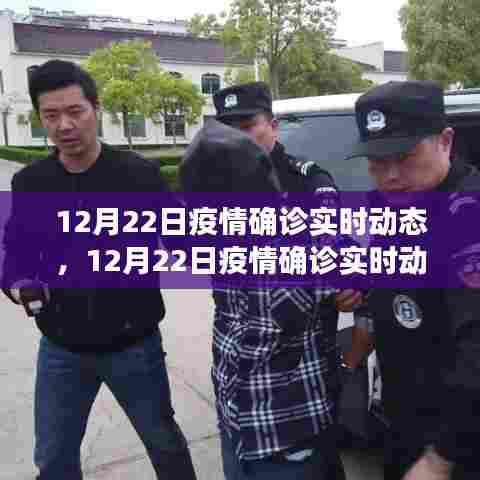 全球疫情实时动态,最新确诊数据、趋势分析与应对策略(12月22日更新)