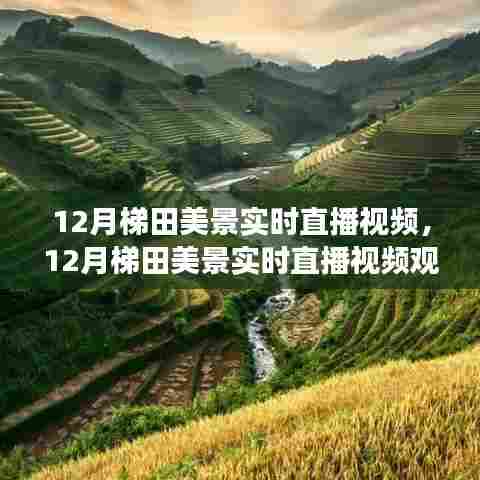 名士风流 第4页