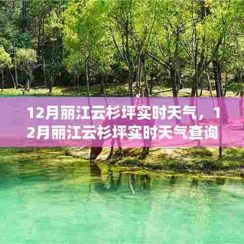 还醇返朴 第4页