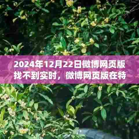 微博网页版实时功能变迁，探寻背后故事与静默变迁之路