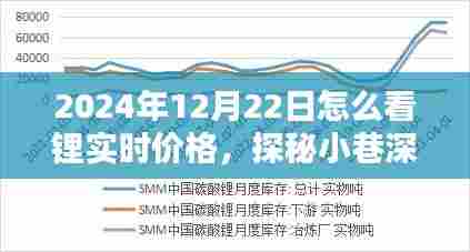 探秘小巷深处的锂价秘籍,揭秘特色小店如何洞悉锂实时价格(2024年12月22日)