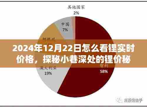 探秘小巷深处的锂价秘籍,揭秘特色小店如何洞悉锂实时价格(2024年12月22日)