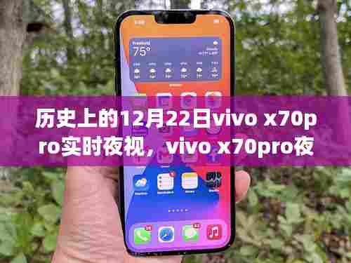 vivo x70pro夜视魔法,温馨特别的12月22日之夜