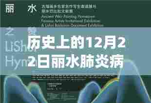 历史上的12月22日丽水肺炎实时监测系统揭秘与深度剖析