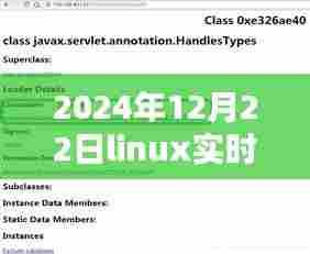 小红书风格教程，如何在特定日期（2024年12月22日）实时查看Linux内存空间