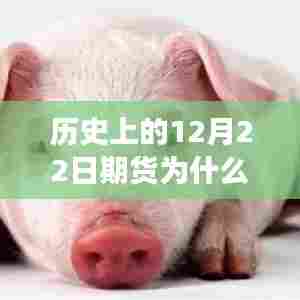 温馨日常与期货实时价格的奇妙缘分,探寻历史背后的故事与实时价格形成之谜