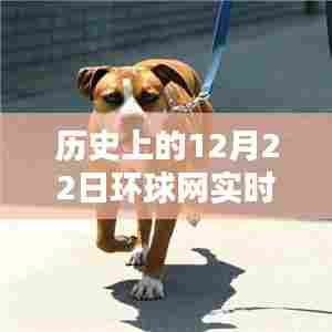 历史上的12月22日环球网实时直播观看指南与解析