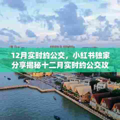 小红书独家揭秘，十二月实时约公交攻略，出行无忧轻松达成！