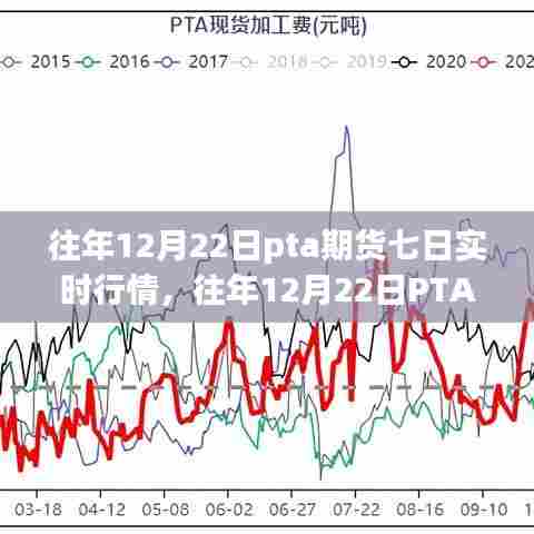 掌握往年12月22日PTA期货七日实时行情动态，详解与操作指南