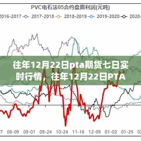 掌握往年12月22日PTA期货七日实时行情动态,详解与操作指南