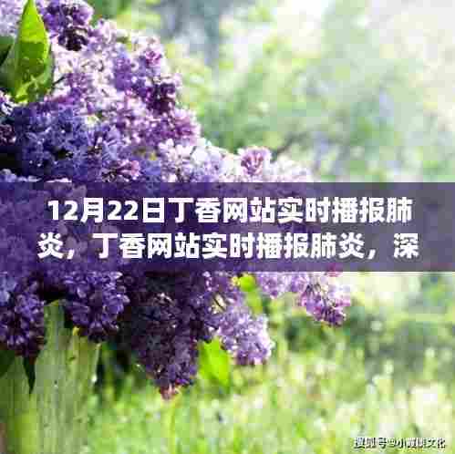 丁香网站实时播报肺炎,深度解读与观点阐述,最新动态一网打尽