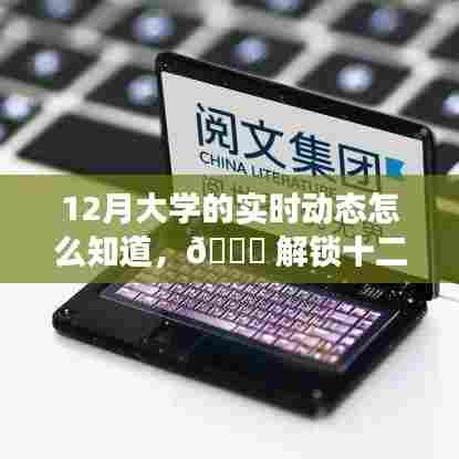 解锁十二月大学最新动态,掌握校园时事热点