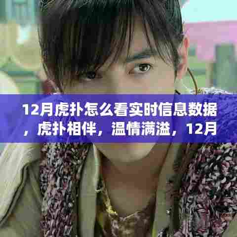 虎扑相伴,温情满溢,探索虎扑实时信息的十二月之旅