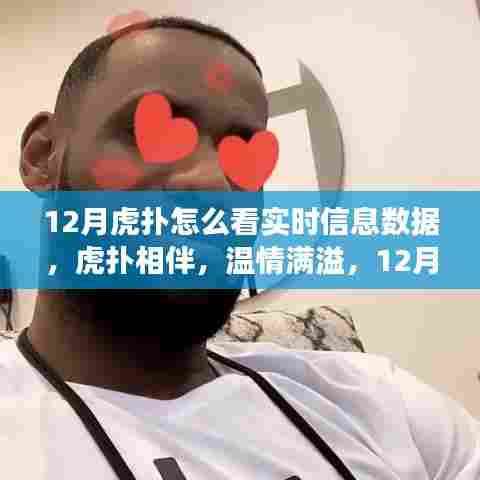 虎扑相伴,温情满溢,探索虎扑实时信息的十二月之旅