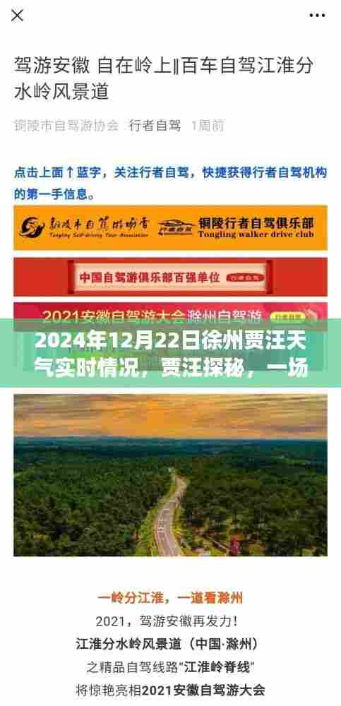 2024年12月22日徐州贾汪天气纪实，与自然邂逅的探秘之旅