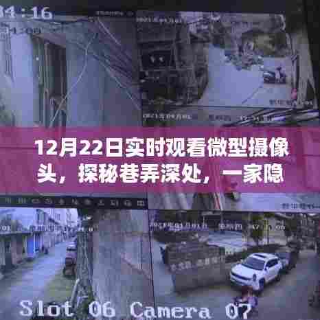 微型摄像头下的秘密,巷弄深处的独特小店探秘