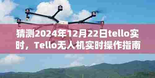 Tello无人机实时操作指南,预测与体验2024年12月22日的飞行之旅