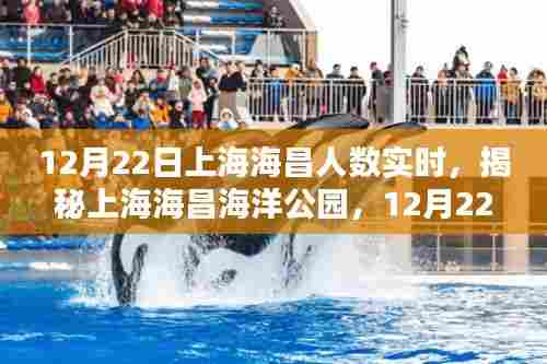 揭秘上海海昌海洋公园,12月22日实时人数报告揭秘!