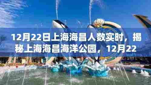 揭秘上海海昌海洋公园，12月22日实时人数报告揭秘！