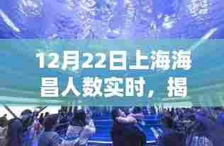 揭秘上海海昌海洋公园,12月22日实时人数报告揭秘!